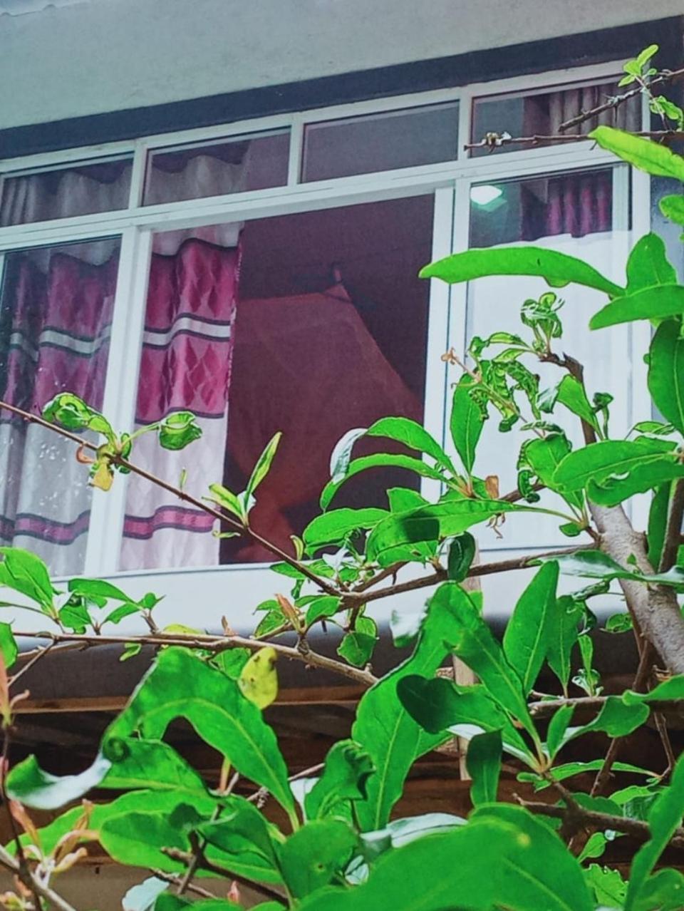 Misty View Inn Ella Bagian luar foto