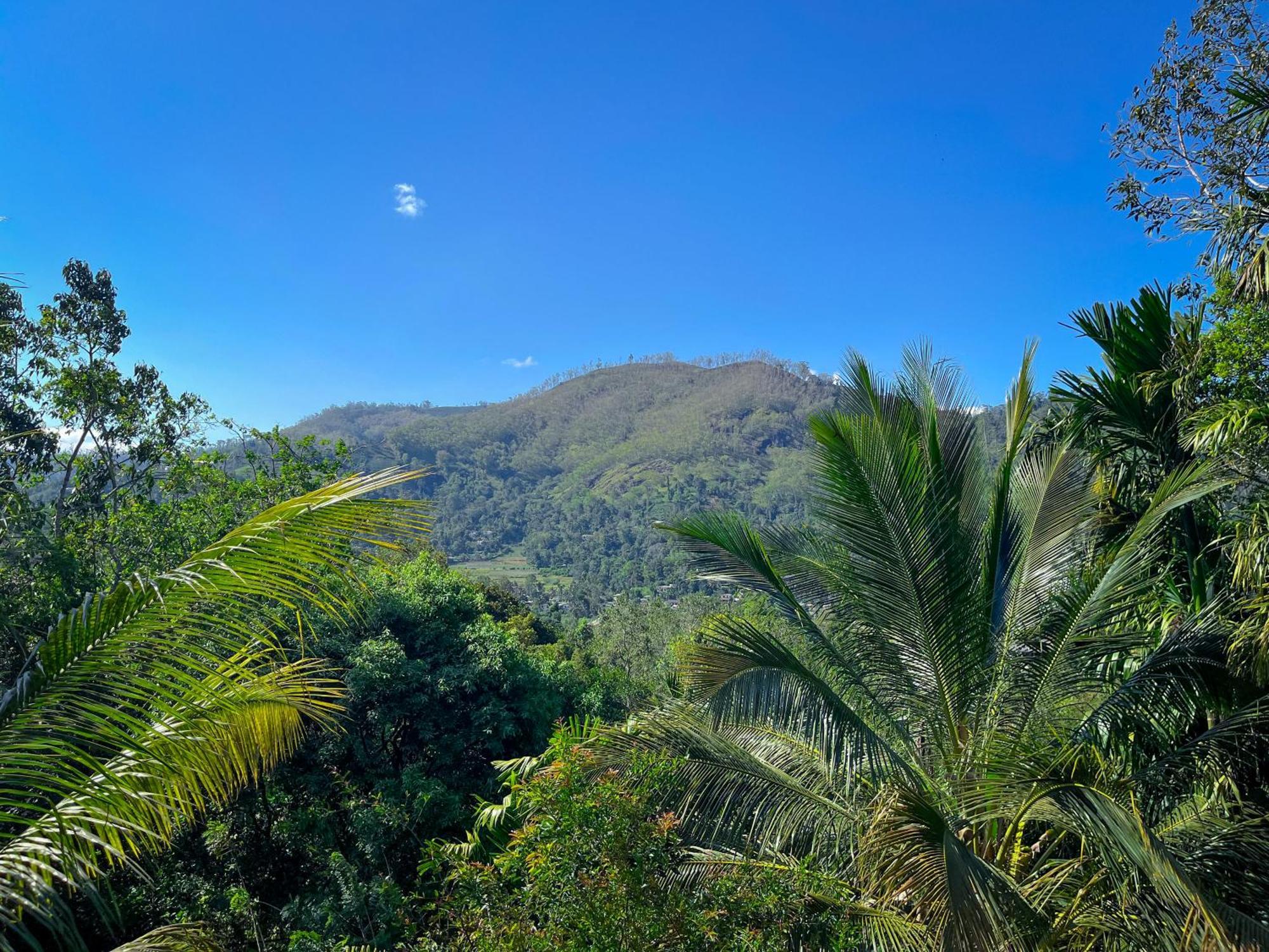 Misty View Inn Ella Bagian luar foto